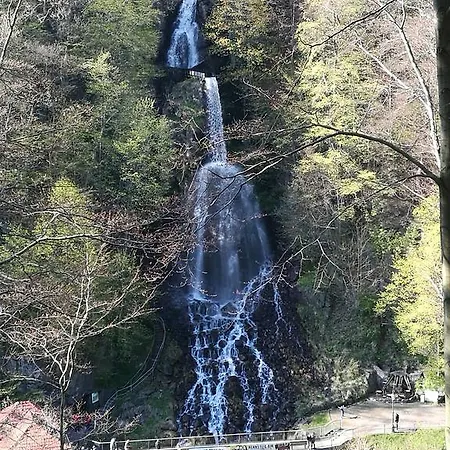 Am Radweg Brotterode