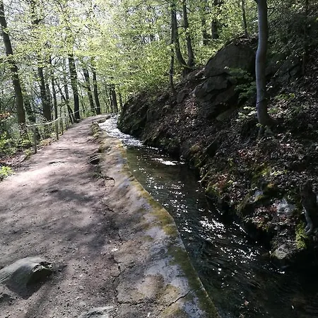 Am Radweg Tatil Evi Brotterode